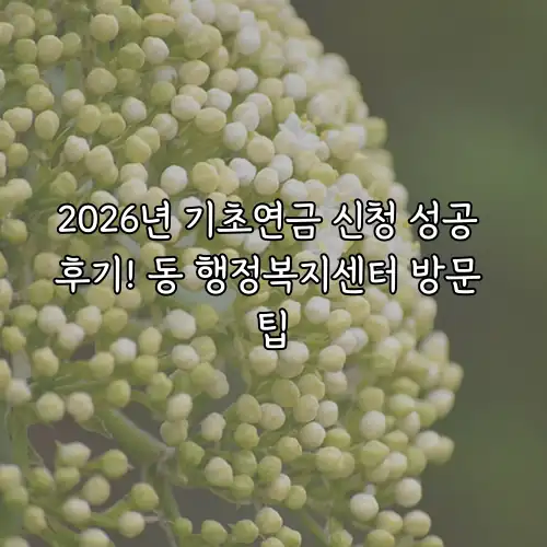 2026년 기초연금 신청 성공 후기! 동 행정복지센터 방문 팁