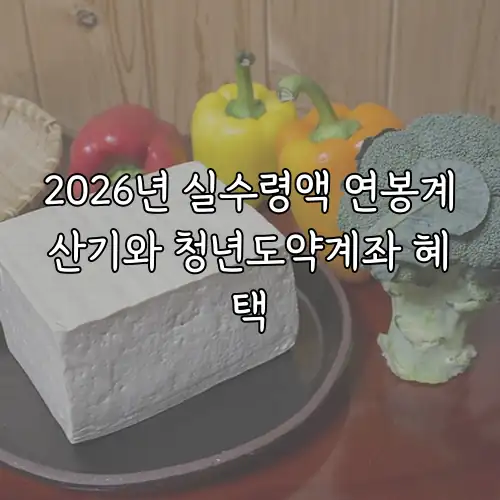 2026년 실수령액 연봉계산기와 청년도약계좌 혜택