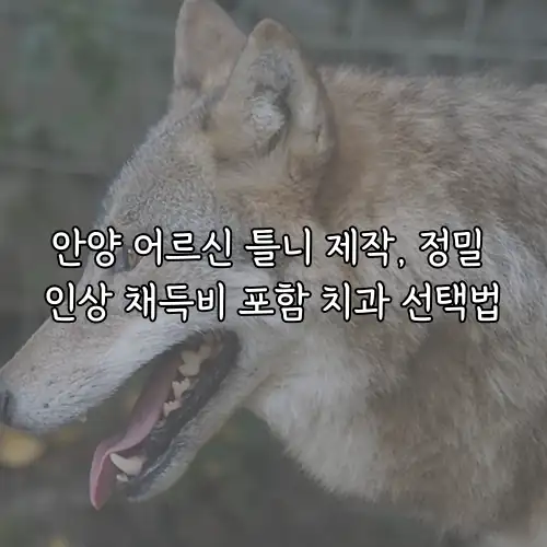 안양 어르신 틀니 제작, 정밀 인상 채득비 포함 치과 선택법
