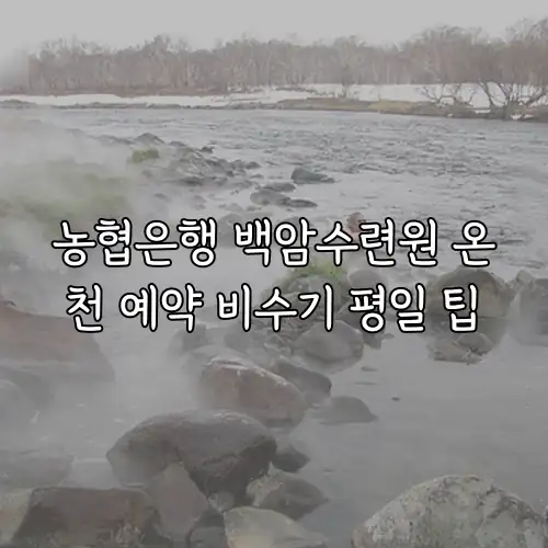 농협은행 백암수련원 온천 예약 비수기 평일 팁