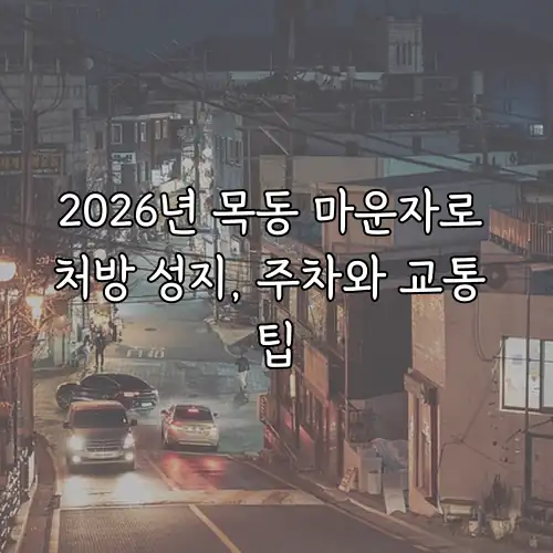 2026년 목동 마운자로 처방 성지, 주차와 교통 팁