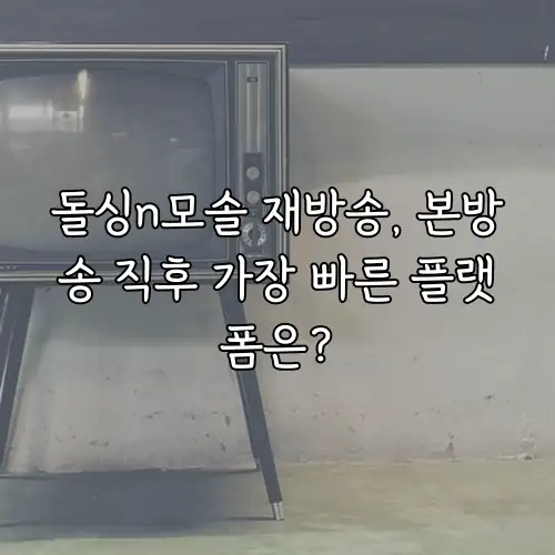 돌싱n모솔 재방송, 본방송 직후 가장 빠른 플랫폼은?