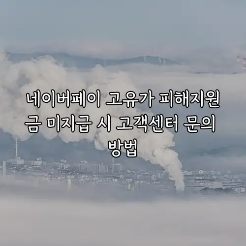 네이버페이 고유가 피해지원금 미지급 시 고객센터 문의 방법