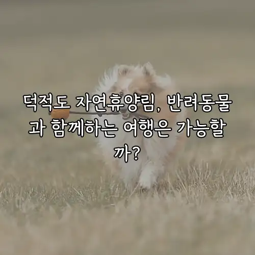 덕적도 자연휴양림, 반려동물과 함께하는 여행은 가능할까?