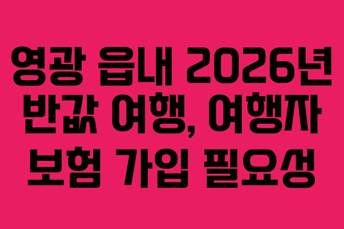 영광 읍내 2026년 반값 여행, 여행자 보험 가입 필요성