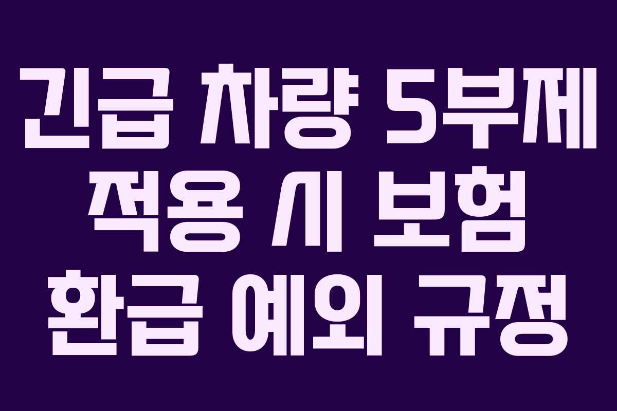 긴급-차량-5부제-적용-시-보험-환급-예외-규정