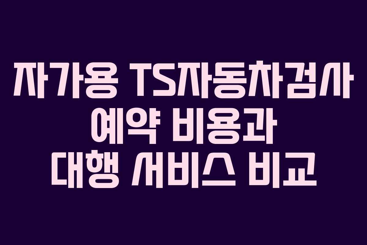 자가용-TS자동차검사-예약-비용과-대행-서비스-비교