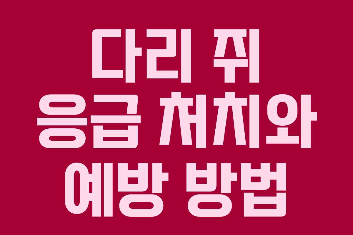 다리-쥐-응급-처치와-예방-방법