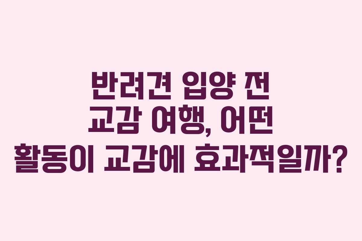 반려견-입양-전-교감-여행,-어떤-활동이-교감에-효과적일까