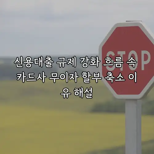 신용대출 규제 강화 흐름 속 카드사 무이자 할부 축소 이유 해설