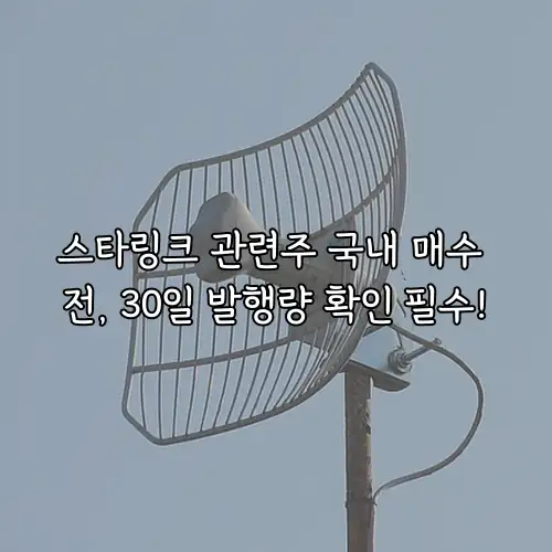 스타링크 관련주 국내 매수 전, 30일 발행량 확인 필수!