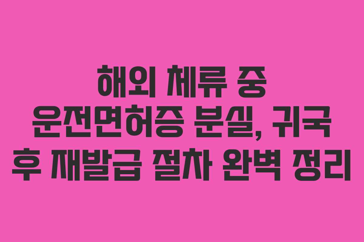 해외-체류-중-운전면허증-분실,-귀국-후-재발급-절차-완벽-정리