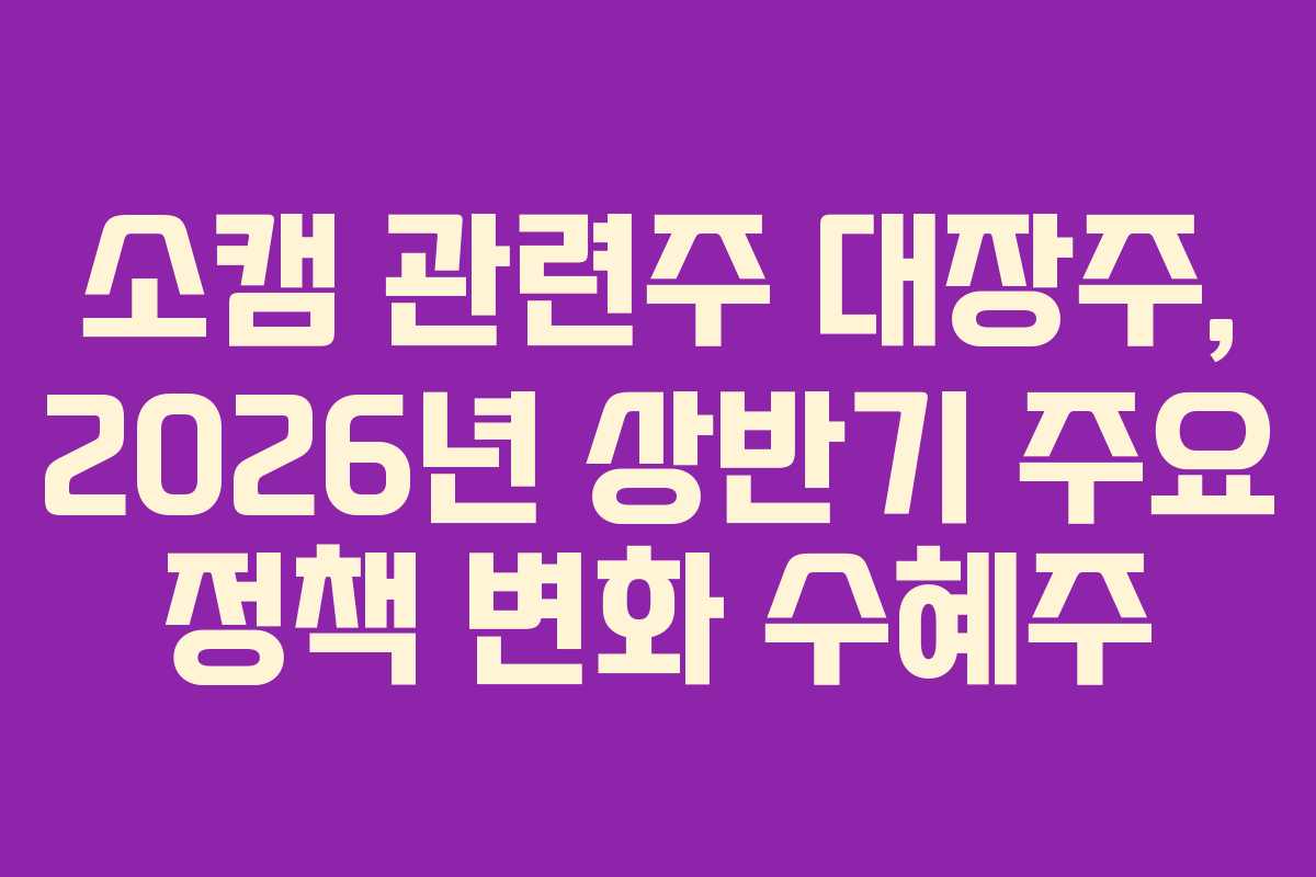 소캠-관련주-대장주,-2026년-상반기-주요-정책-변화-수혜주