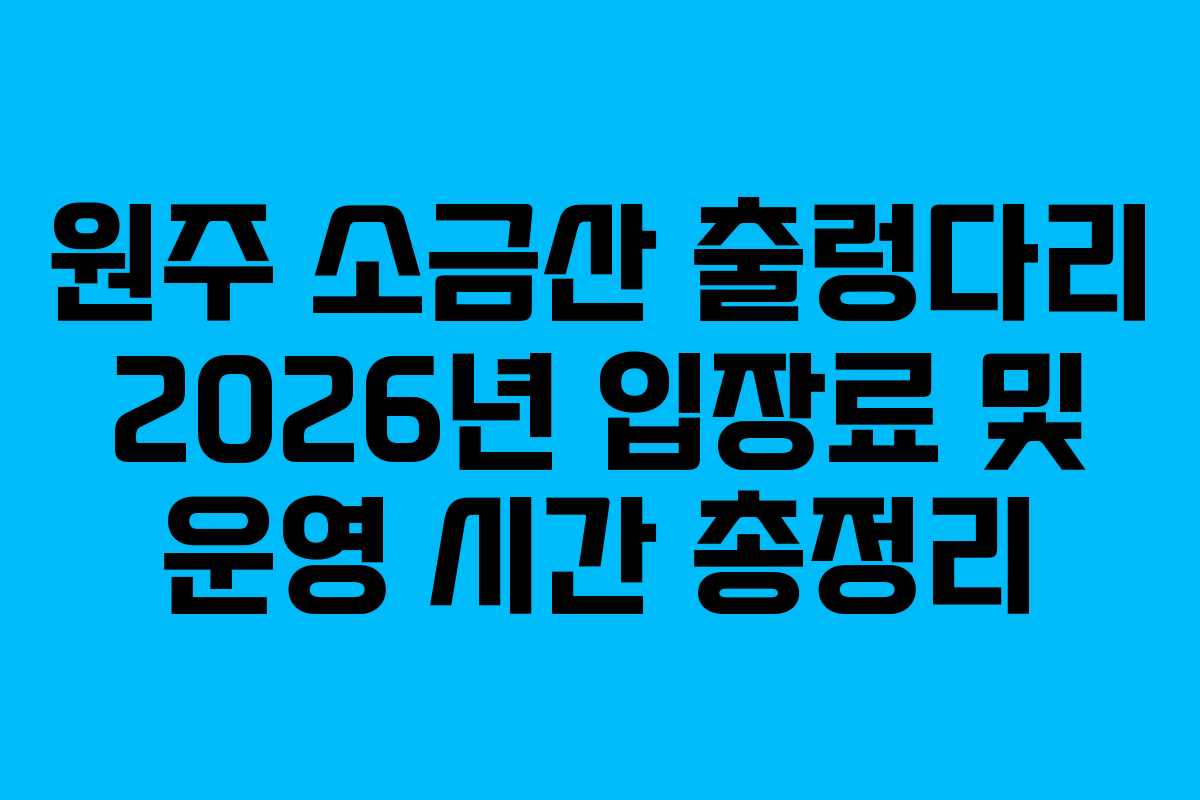 원주-소금산-출렁다리-2026년-입장료-및-운영-시간-총정리
