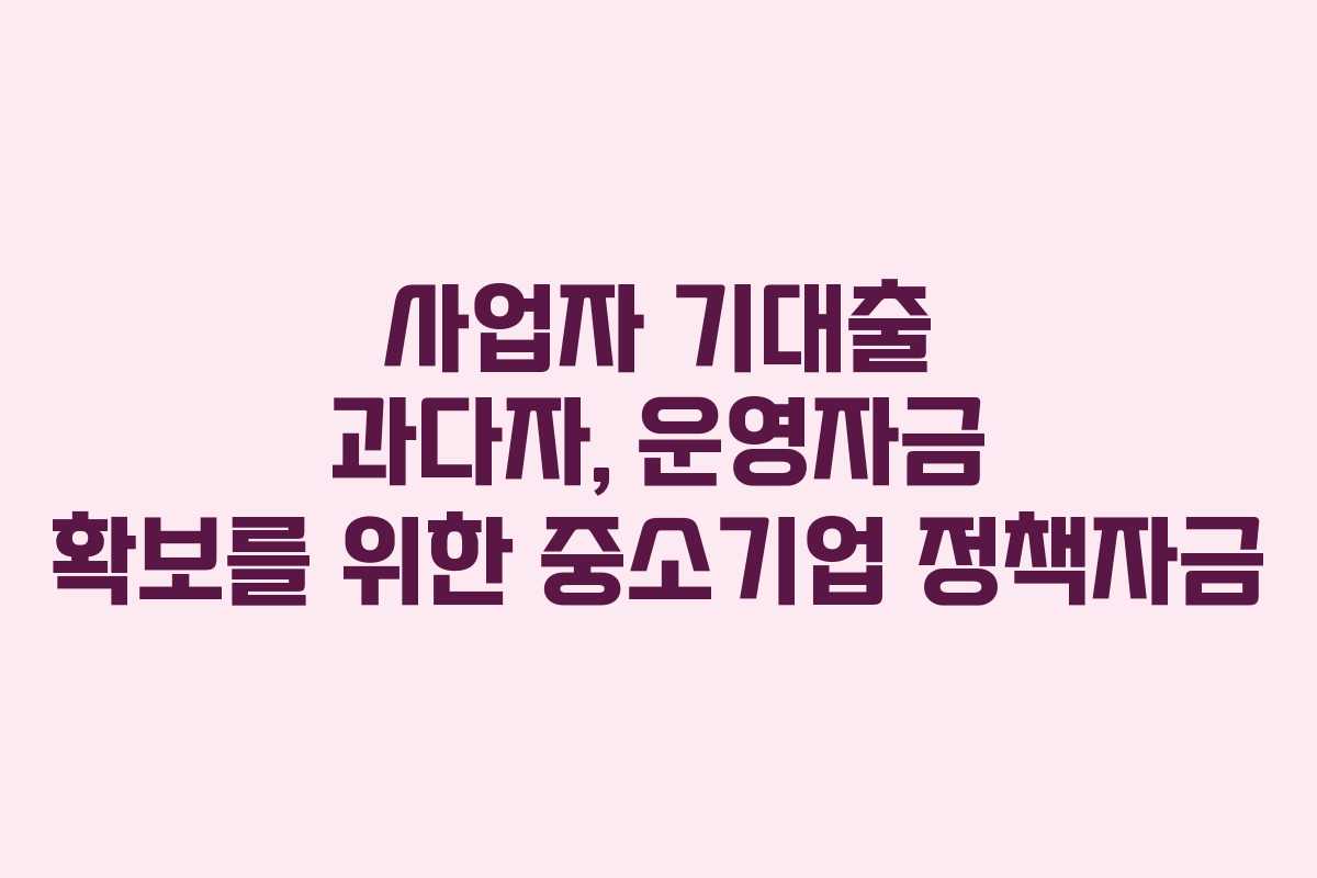 사업자-기대출-과다자,-운영자금-확보를-위한-중소기업-정책자금