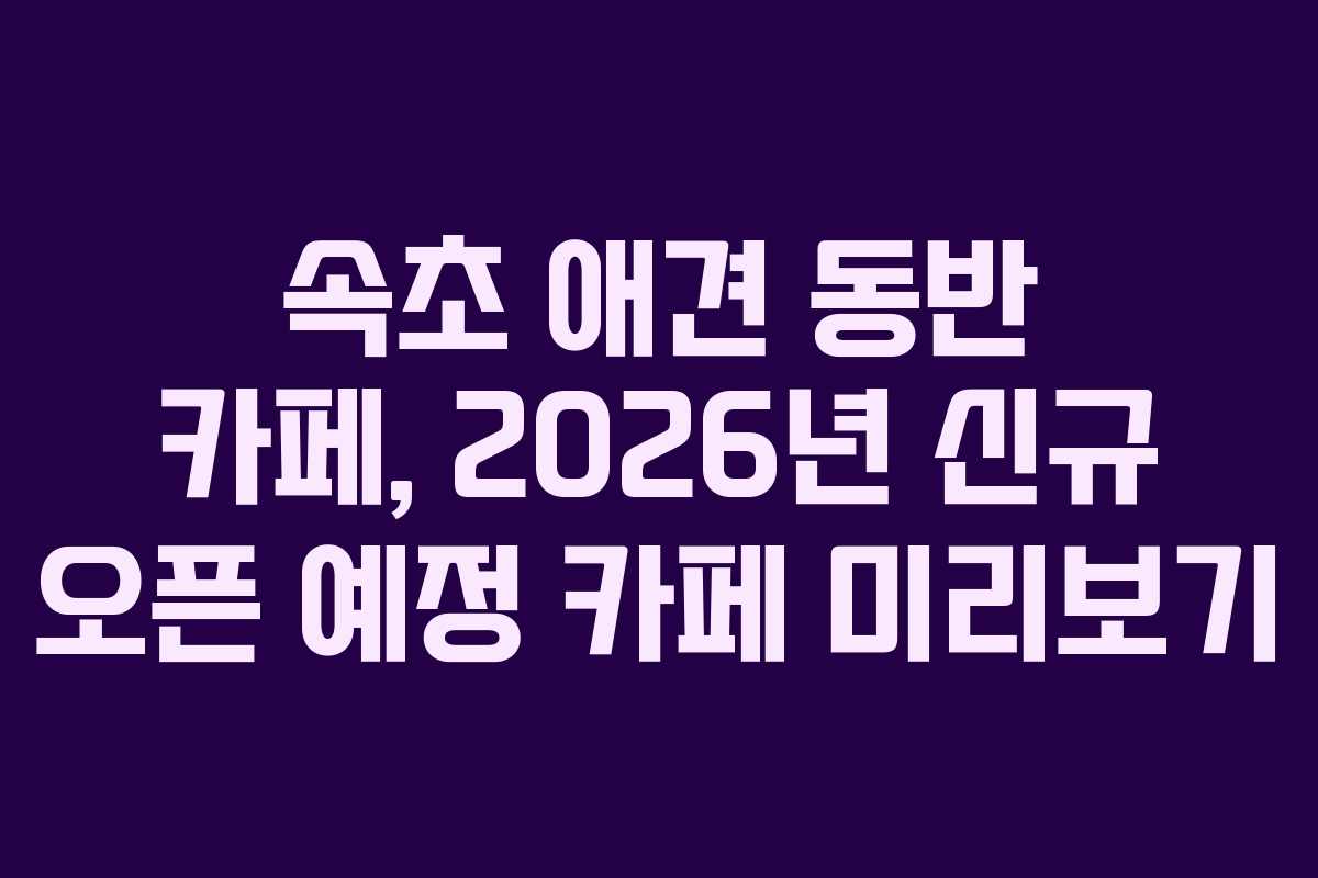 속초-애견-동반-카페,-2026년-신규-오픈-예정-카페-미리보기