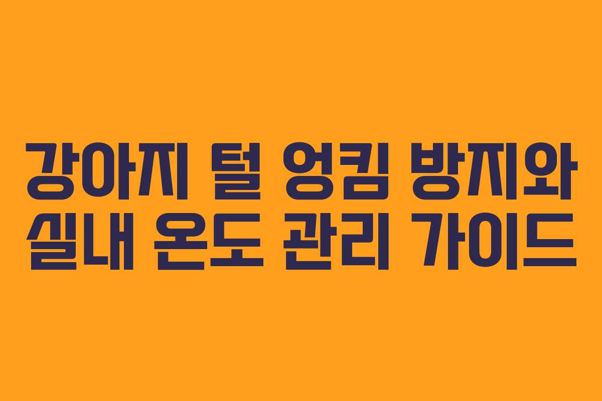 강아지-털-엉킴-방지와-실내-온도-관리-가이드